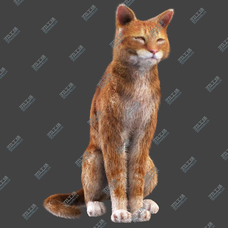 images/goods_img/2021040164/Cat Red Rigged/5.jpg